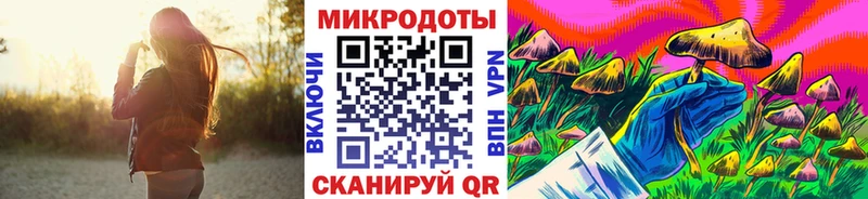 Псилоцибиновые грибы Psilocybe  Лукоянов 